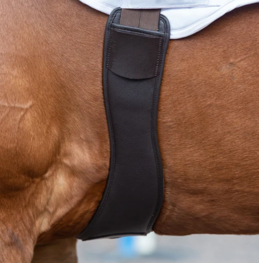 Close-up of a black leather horse girth strap secured around the side of a brown horse's body, with part of a white saddle blanket visible at the top.